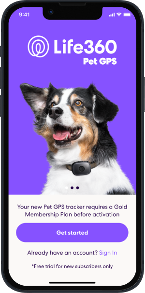 Life360 Pet GPS mockup