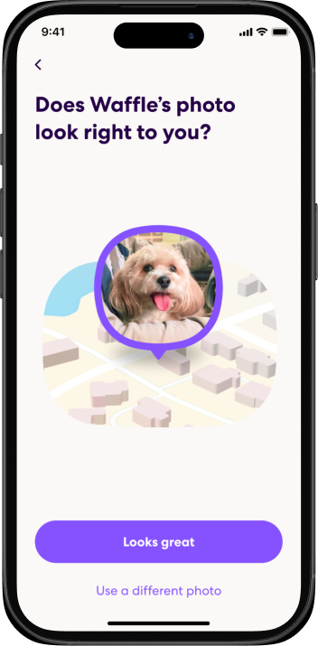 Pet profile creation step 3