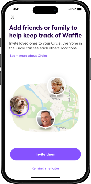 Post-onboarding nudge screens