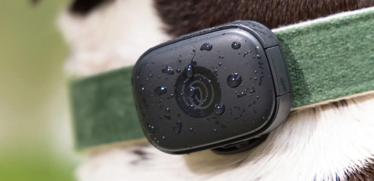 Pet GPS collar device