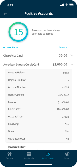 Rapid Credit app screen 4